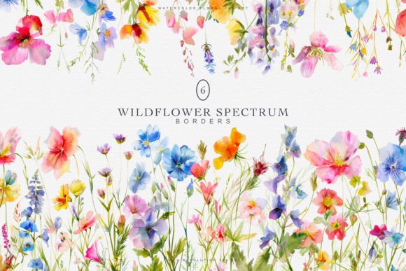Download Watercolor Colorful Wildflowers Borders - Flowers Collection